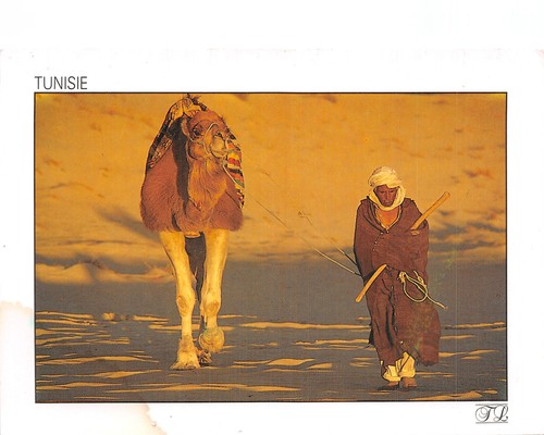 Mailly champagne tunisie - mailly,