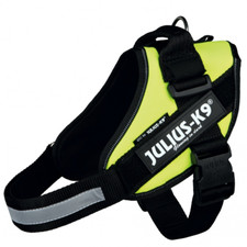 Harnais Julius K9 IDC