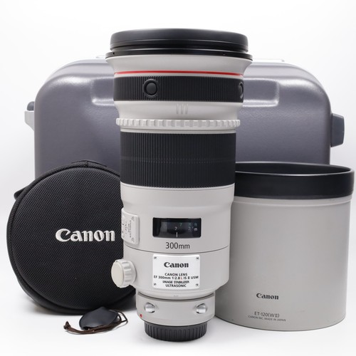 Canon 300mm l - 300mm, f/2.8