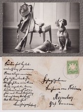 Thurn Et Taxis Cabane De