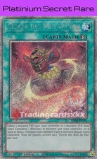 Yu-Gi-Oh! Cercle des Rois du Feu : PN RA04-FR195