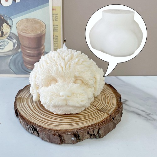 Mignon tête nounours - tête, de
