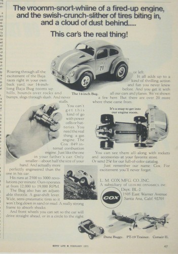Cox baja bug - baja,