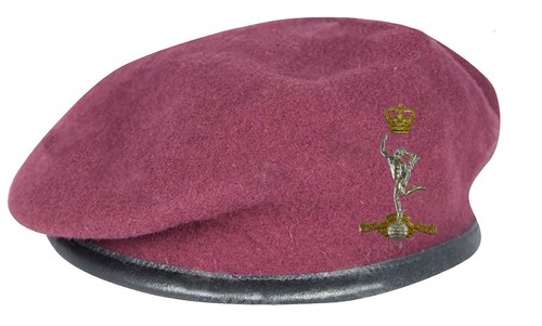 Marron royal signaux para - marron,