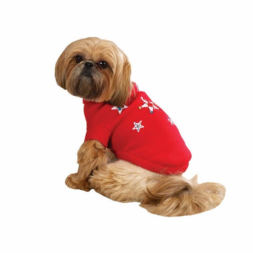 Zack zoey twinkling star - zoey, dog