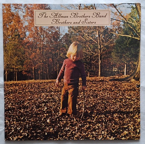 Vinyle 33t the allman - the,