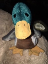 TY RARE! Jake the Duck Beanie