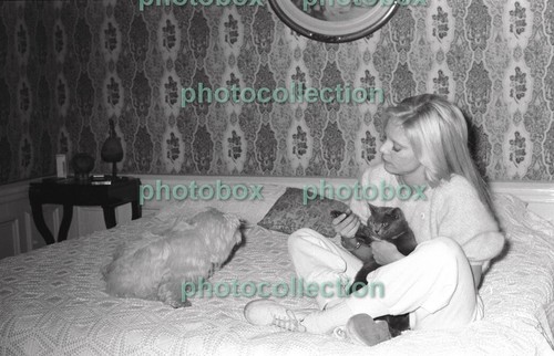 Sylvie vartan exclusive - sylvie,