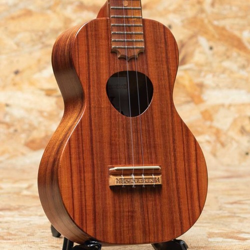 Koaloha kcm pikake - koaloha,