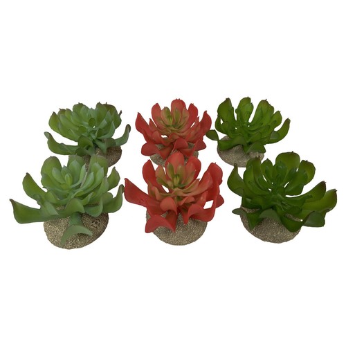 Décoration terrarium - décoration, de