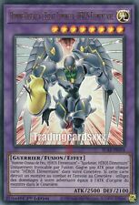 ♦Yu-Gi-Oh!♦ Homme-Oiseau à l'Eclat Lumineux, HEROS Elémentaire : BLAR-FR054 UR