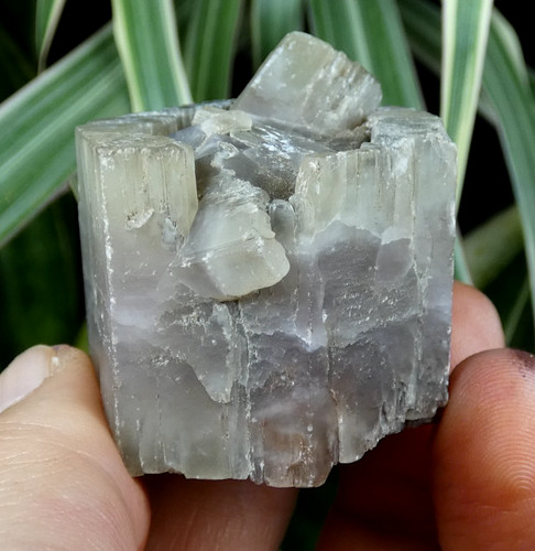 Aragonite mauve minglanilla - mauve,