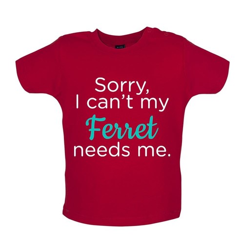 Sorry peut pas - sorry,
