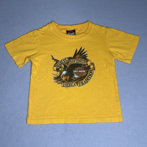 Vintage harley davidson eagle - vintage,