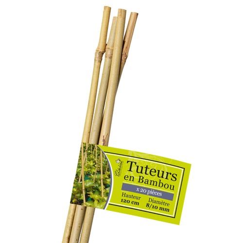 Lot tuteurs bambou - lot,