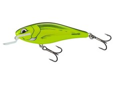 Salmo Executor IEX12SR 12cm