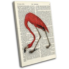 Flamingo Vintage Old Book