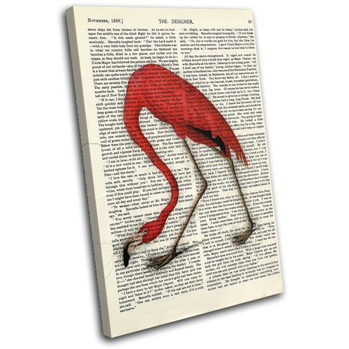 Flamingo vintage old book - vintage,