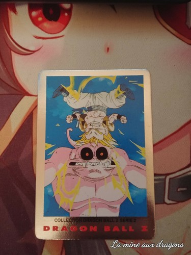 Carte dragon ball serie - carte,