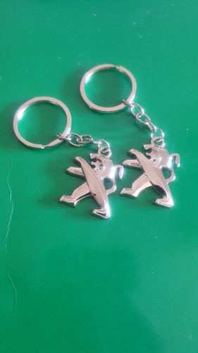 Porte clé peugeot lot 2 - clé, de