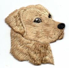 LABRADOR RETRIEVER DOG Pets