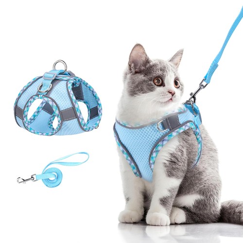 Harnais pour chat - harnais,