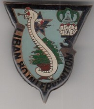 France Insigne Militaire 1 RCP