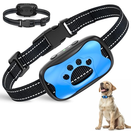 Collier anti aboiement chien - collier,