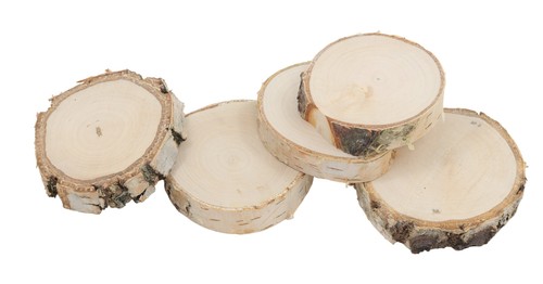 Tranche bois bouleau - , 6–8cm