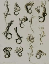 Mathurin MEHEUT : La