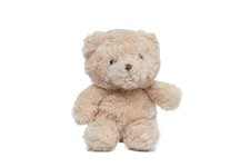 Histoire d'Ours Doudou peluche