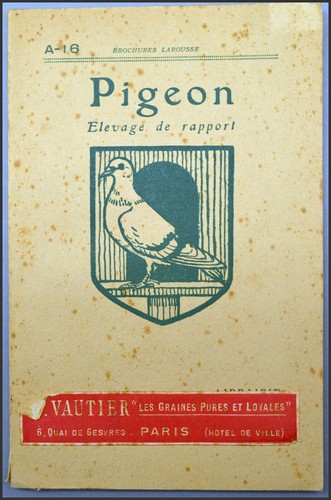 Pigeon élevage rapport - de,