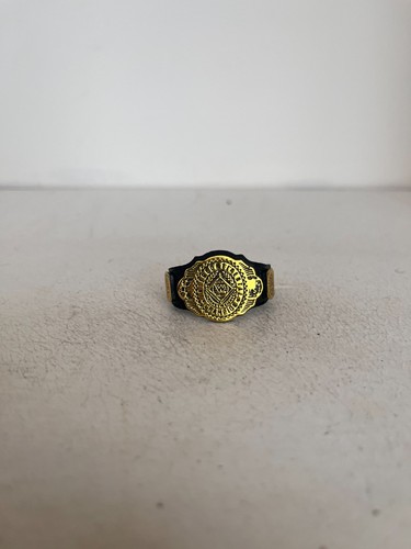 Ceinture champion - ceinture,