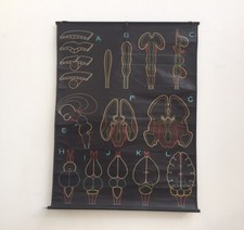 affiche scolaire ancienne, P