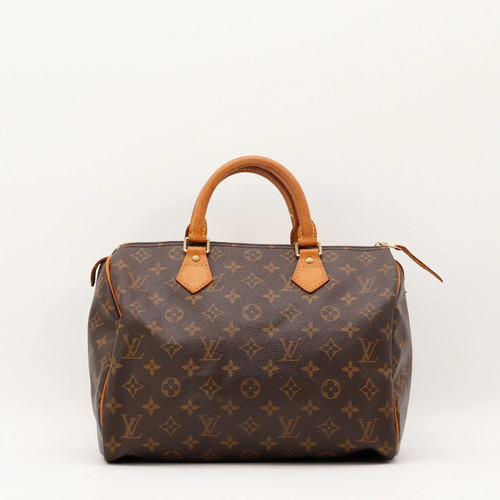 Sac main louis vuitton - main,