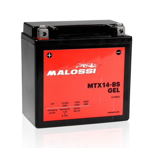 Batterie gel malossi ytx14 - batterie,