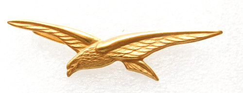 Insigne calot epervier - epervier,