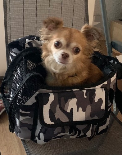 Sac transport pour petit - transport,