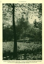 Publicité ancienne document