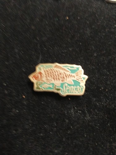Rare pins sport peche fishing - sport,