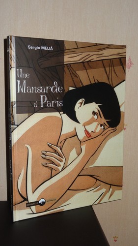 Une mansarde paris sergio - une, a