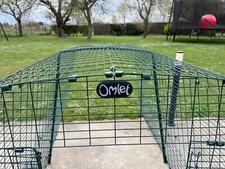 grillage vert Eglu Omlet pour poules 