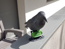 Anti pigeons Pack Corbeau +