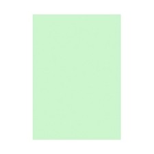 Elve Paquet de 100 Fiches Bristol 190g A5 148x210mm Uni Vert