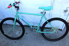 BIANCHI GRIZZLY celeste green