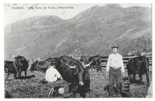METIER AUVERGNE CANTAL traite des vaches à Peyrarche animation