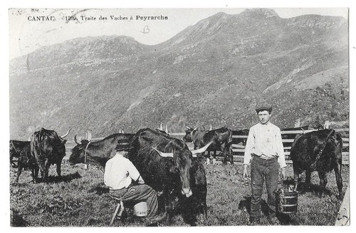 Metier auvergne cantal - metier, traite