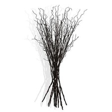 Lot de 12 Branches de Saule