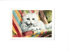 CP grand format 14 x 19 LILIANE PROUX chat  dans transat  non ecrite