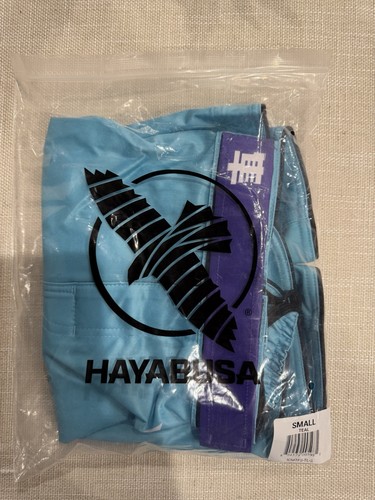 Hayabusa icon fight - hayabusa,